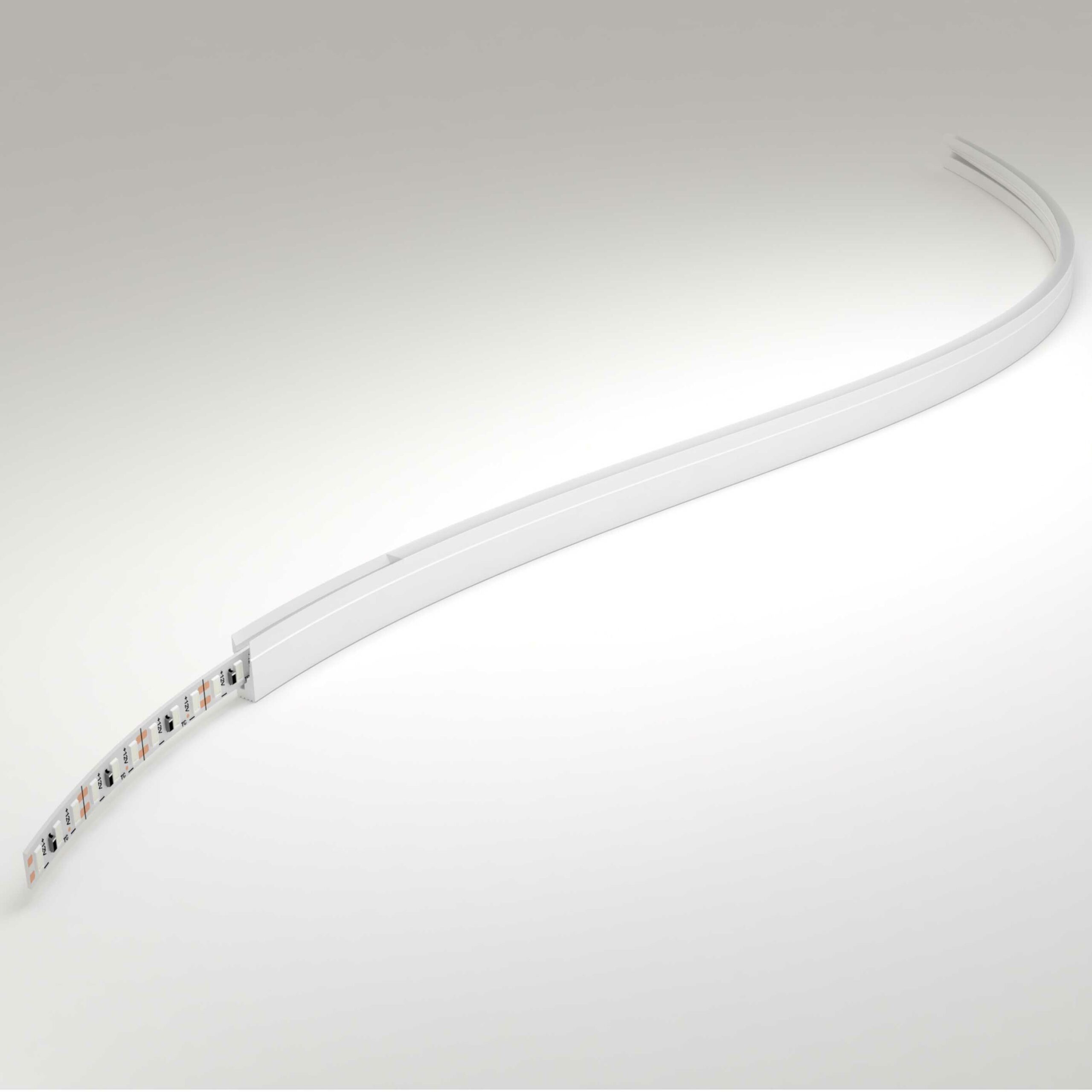 Néon micro mes Néon micro mes