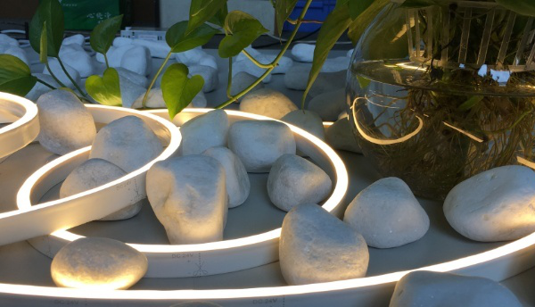 néon carré XL mes 2