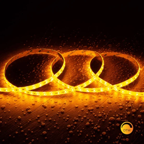 Ruban LED SMD 10 mm 24V LYRA