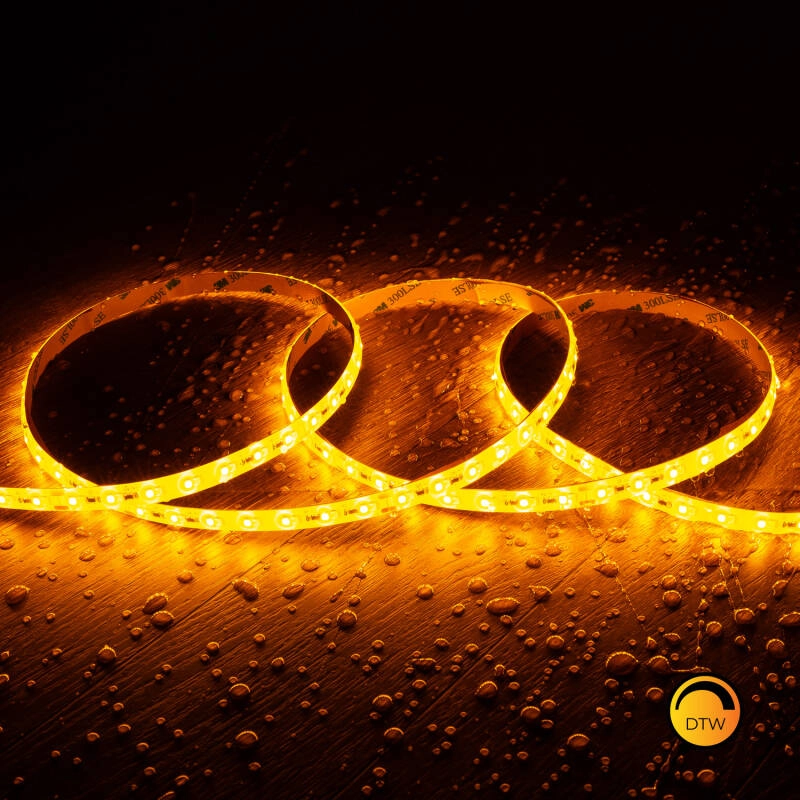 Ruban LED LYRA 10 mm